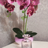 духи ever bloom sakura art edition от shiseido отзыв shiseido ever bloom sakura art edition
