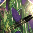 Отзыв Byredo Parfums Bibliotheque
