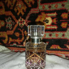 Отзыв Roberto Cavalli Florence