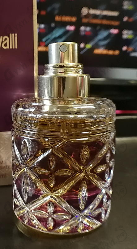 Отзывы Roberto Cavalli Florence