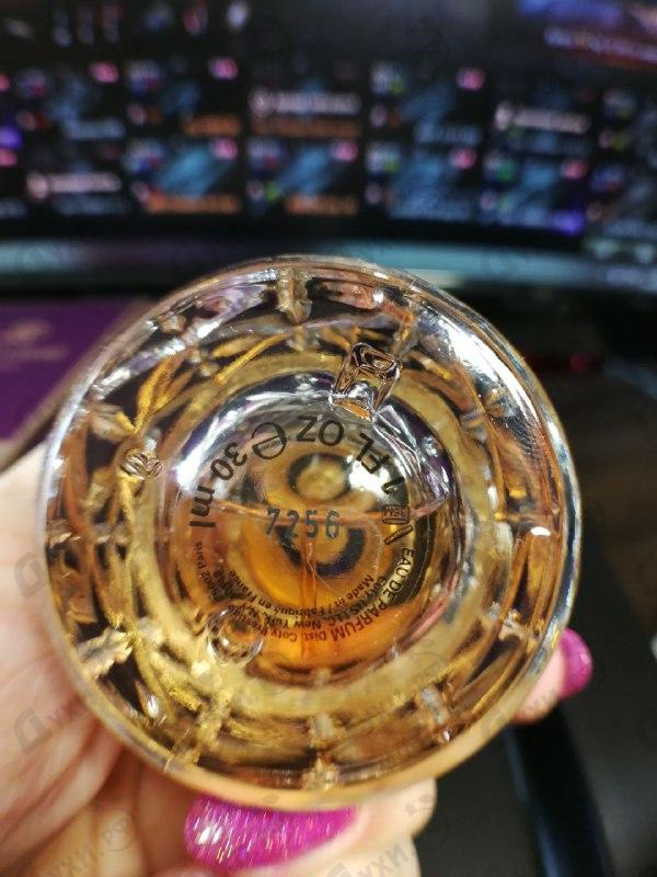 Купить Roberto Cavalli Florence