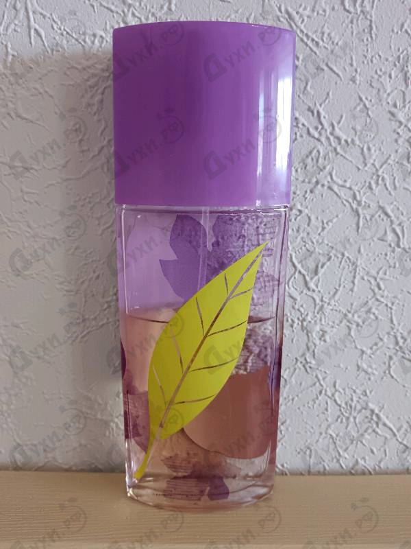 Парфюмерия Green Tea Fig от Elizabeth Arden