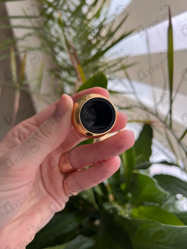 Отзыв Attar Collection The Persian Gold