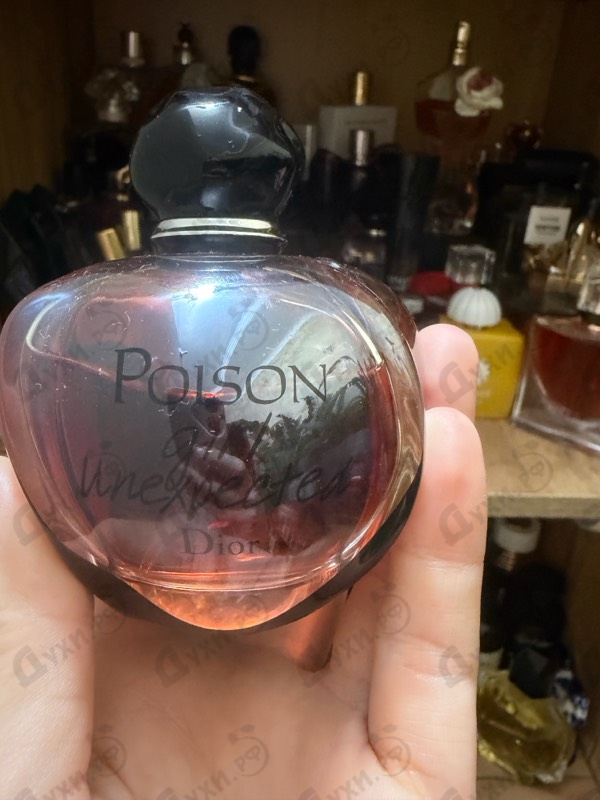 Купить Christian Dior Poison Girl Unexpected
