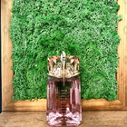 Парфюм Thierry Mugler Alien Flora Futura