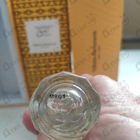 Отзыв Vilhelm Parfumerie Mango Skin