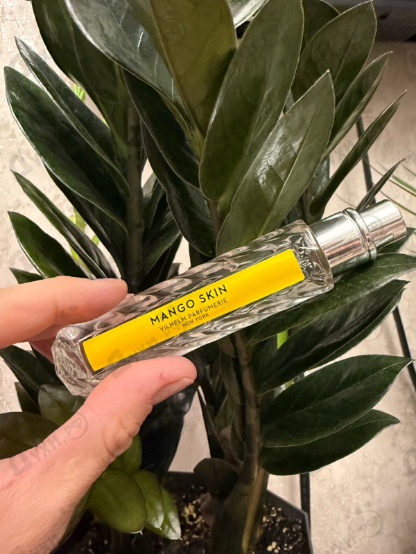 Отзыв Vilhelm Parfumerie Mango Skin