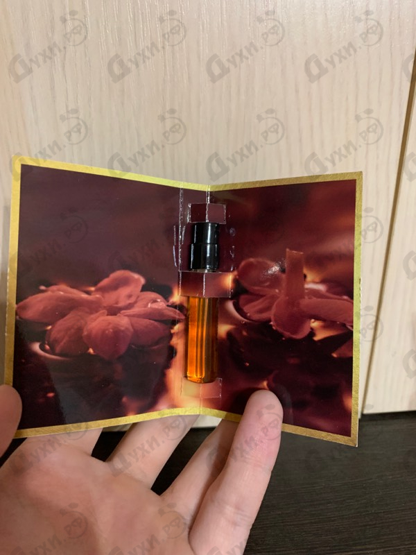 Парфюмерия Intense Black Aoud от Montale