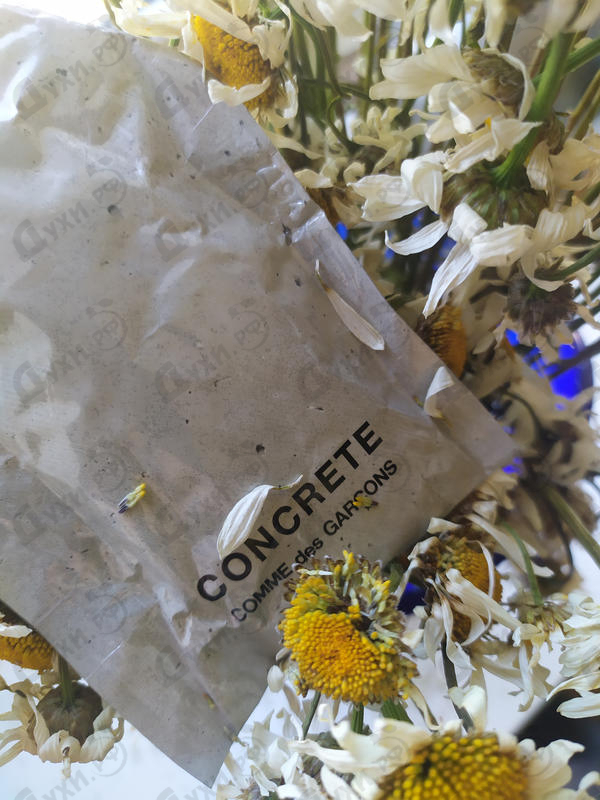 Духи Concrete от Comme Des Garcons