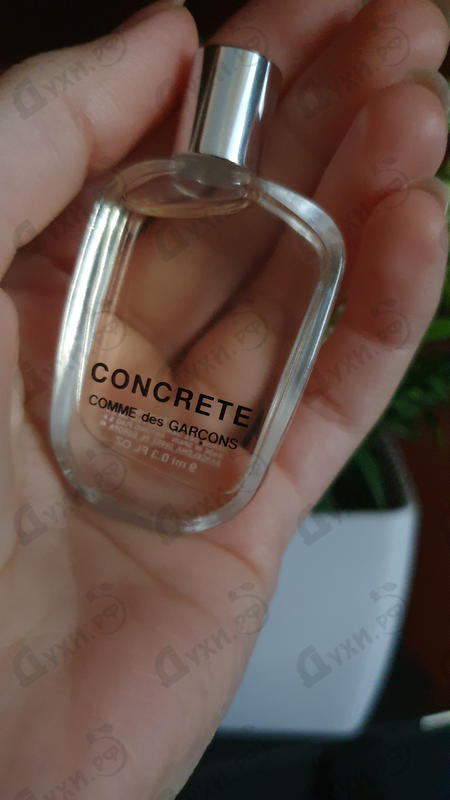 Парфюмерия Concrete от Comme Des Garcons