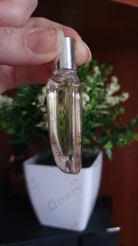 Купить Comme Des Garcons Concrete