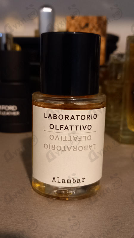 Отзывы Laboratorio Olfattivo Alambar