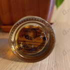 Парфюм Laboratorio Olfattivo Alkemi