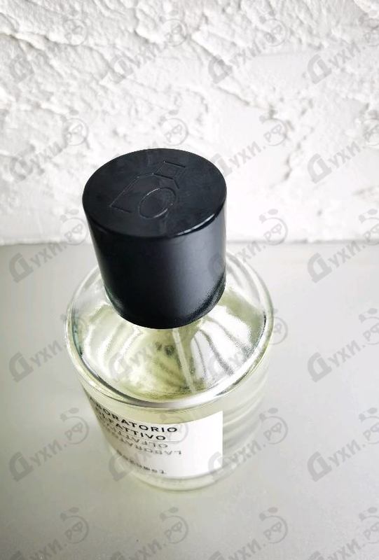 Отзывы Laboratorio Olfattivo Cozumel