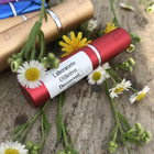 Парфюм Laboratorio Olfattivo Decou-vert