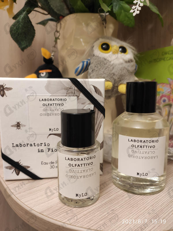 Купить Mylo от Laboratorio Olfattivo