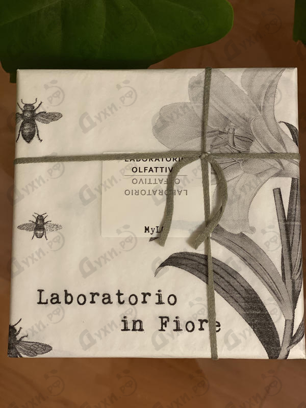 Парфюмерия Mylo от Laboratorio Olfattivo Парфюмерия Laboratorio Olfattivo Mylo
