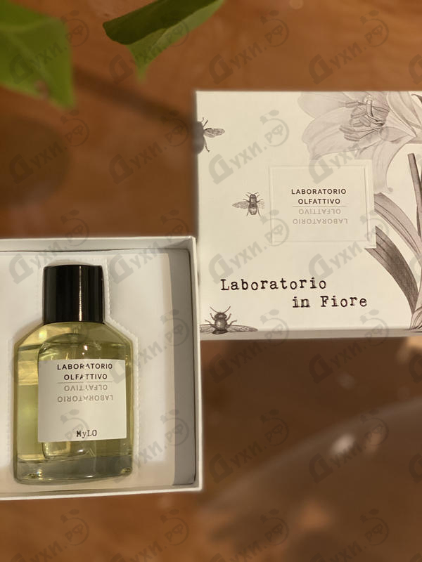 Духи Laboratorio Olfattivo Mylo Купить Mylo от Laboratorio Olfattivo