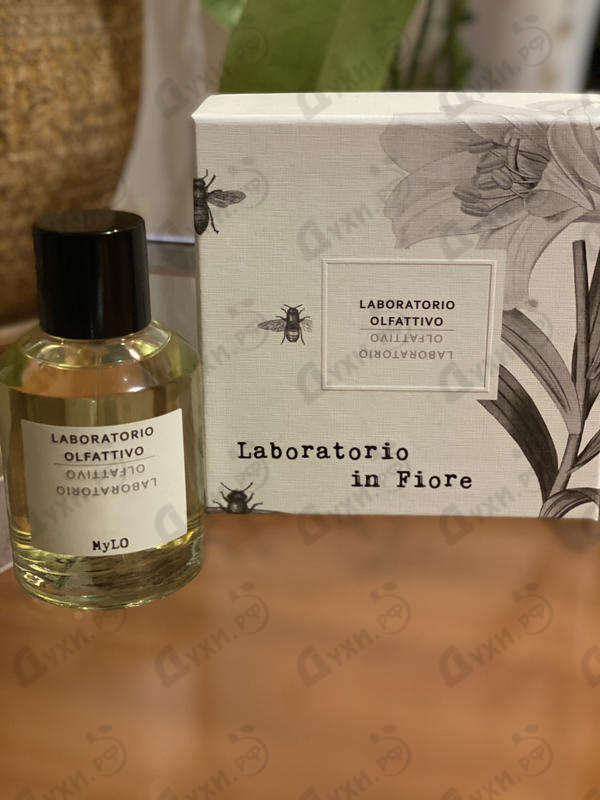 Парфюмерия Mylo от Laboratorio Olfattivo