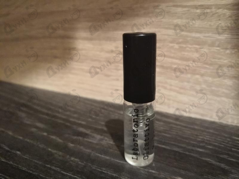 Духи Mylo от Laboratorio Olfattivo Отзыв Laboratorio Olfattivo Mylo