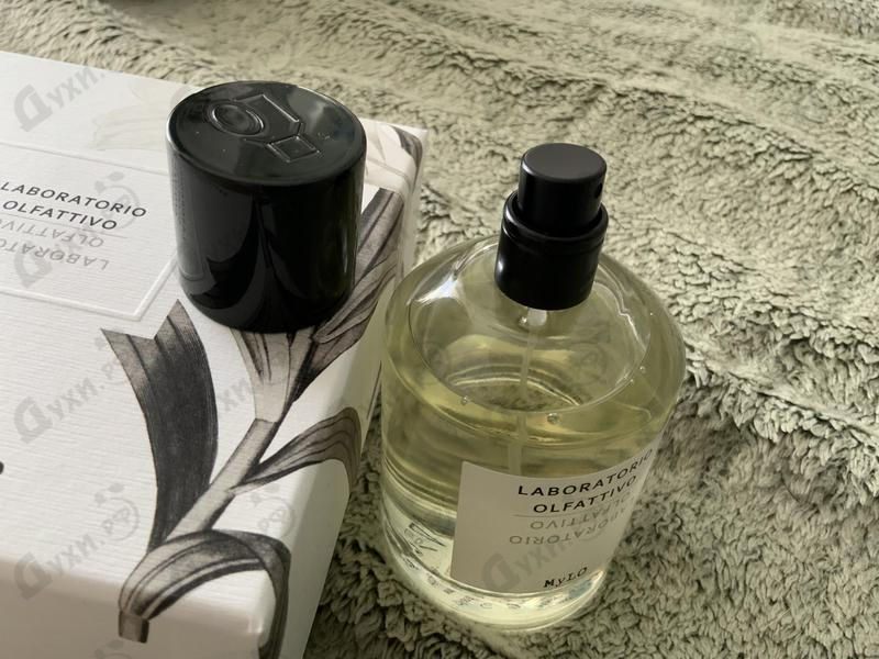 Купить Mylo от Laboratorio Olfattivo