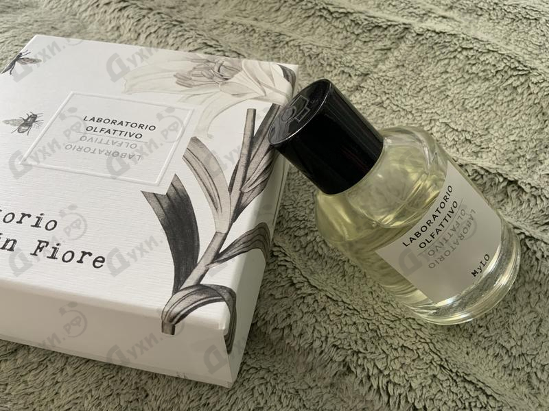 Отзывы Laboratorio Olfattivo Mylo