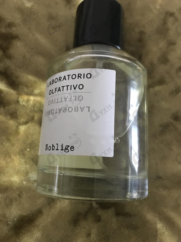Купить Noblige от Laboratorio Olfattivo Отзыв Laboratorio Olfattivo Noblige