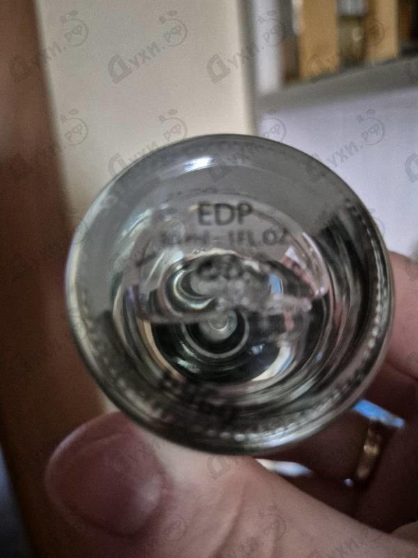 Отзывы Laboratorio Olfattivo Nun