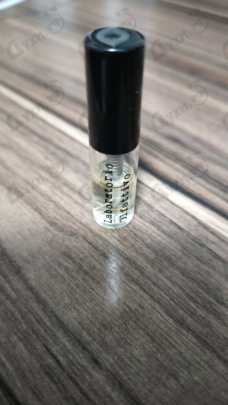 Купить Laboratorio Olfattivo Salina Духи Salina от Laboratorio Olfattivo