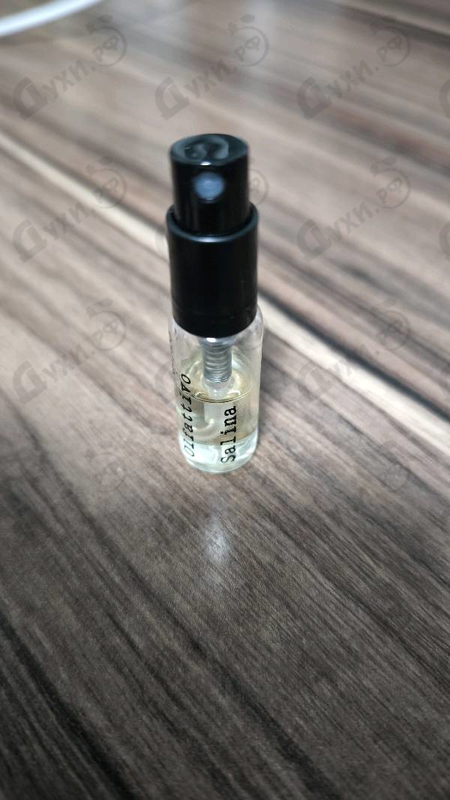 Духи Laboratorio Olfattivo Salina Духи Salina от Laboratorio Olfattivo