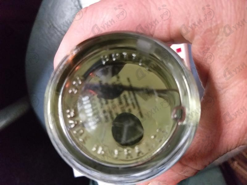 Купить Les Liquides Imaginaires Saltus