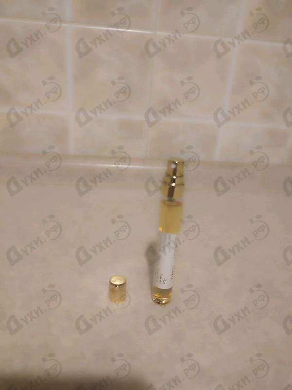 Купить Beautiful & Wild от Haute Fragrance Company