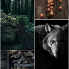 Отзывы Les Liquides Imaginaires Belle Bete