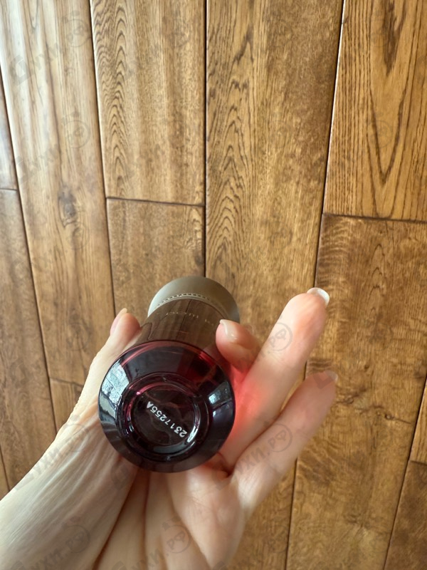 Парфюмерия Dom Rosa от Les Liquides Imaginaires