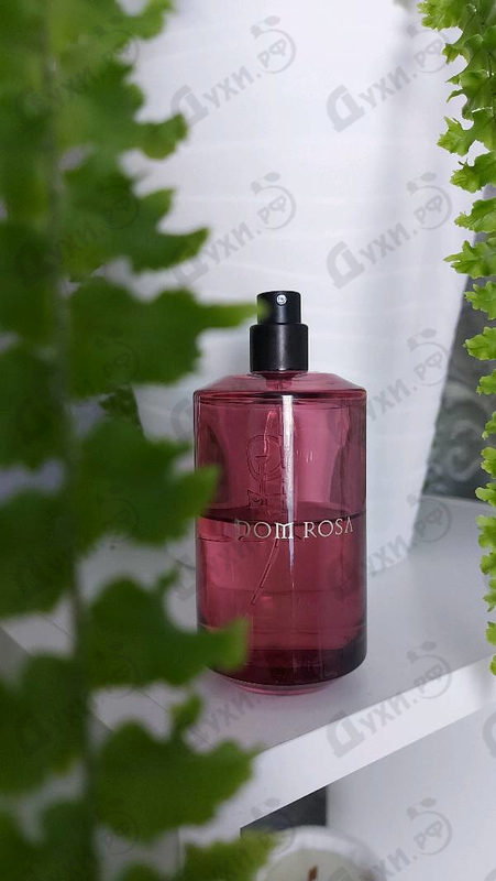 Духи Dom Rosa от Les Liquides Imaginaires