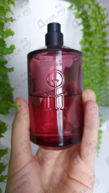 Купить Les Liquides Imaginaires Dom Rosa