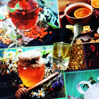 Парфюм Masque Milano Russian Tea