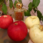 Духи La Danza Delle Libellule от Nobile 1942