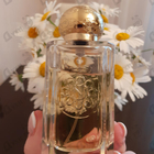 Отзывы Nobile 1942 La Danza Delle Libellule