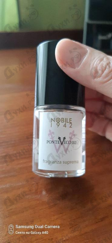 Купить Pontevecchio W от Nobile 1942 Купить Nobile 1942 Pontevecchio W