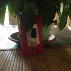 Отзывы Nobile 1942 Rudis