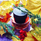 Отзыв Linari Stella Cadente