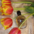 Отзывы Alexander Mcqueen Mcqueen Eau De Parfum