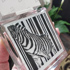 Отзывы Rasasi Rumz Al Rasasi 9325