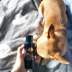 Отзыв Norana Perfumes Suzana