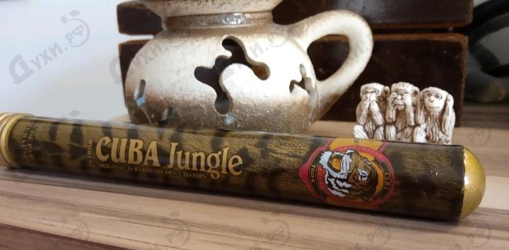 Отзыв Cuba Cuba Jungle Tiger Купить Cuba Jungle Tiger от Cuba