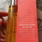 Отзыв Delarom Orangia Bellissima