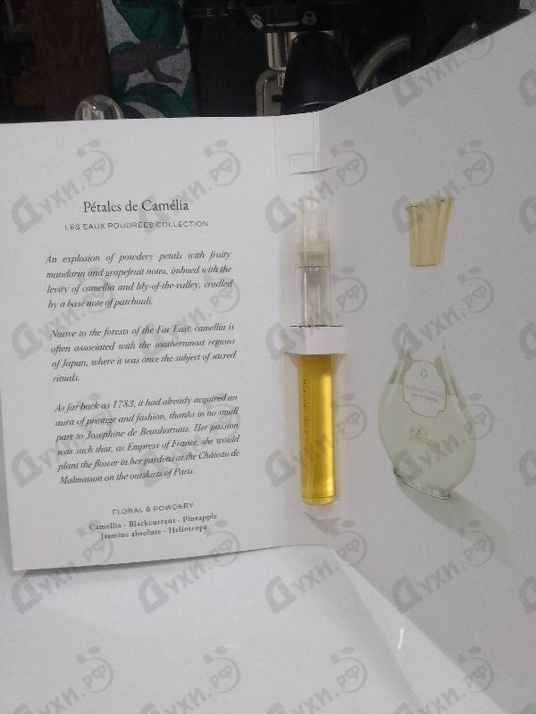 Духи Petales De Camelia Eau Poudree от Dorin