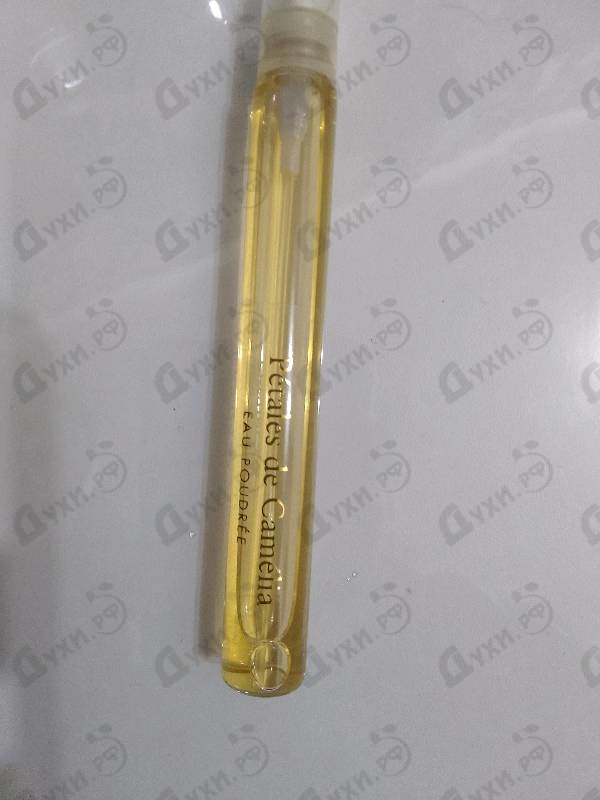 Купить Dorin Petales De Camelia Eau Poudree