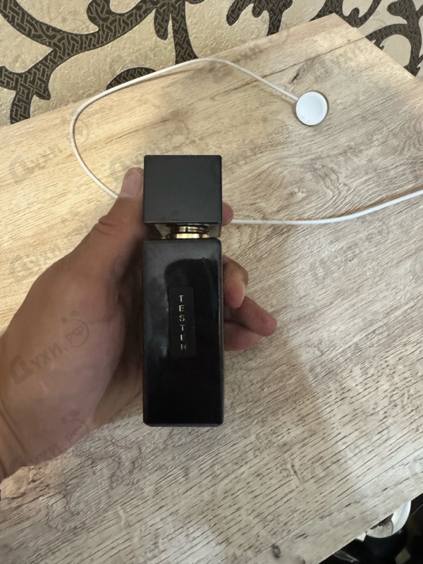 Отзыв Gritti Decimo